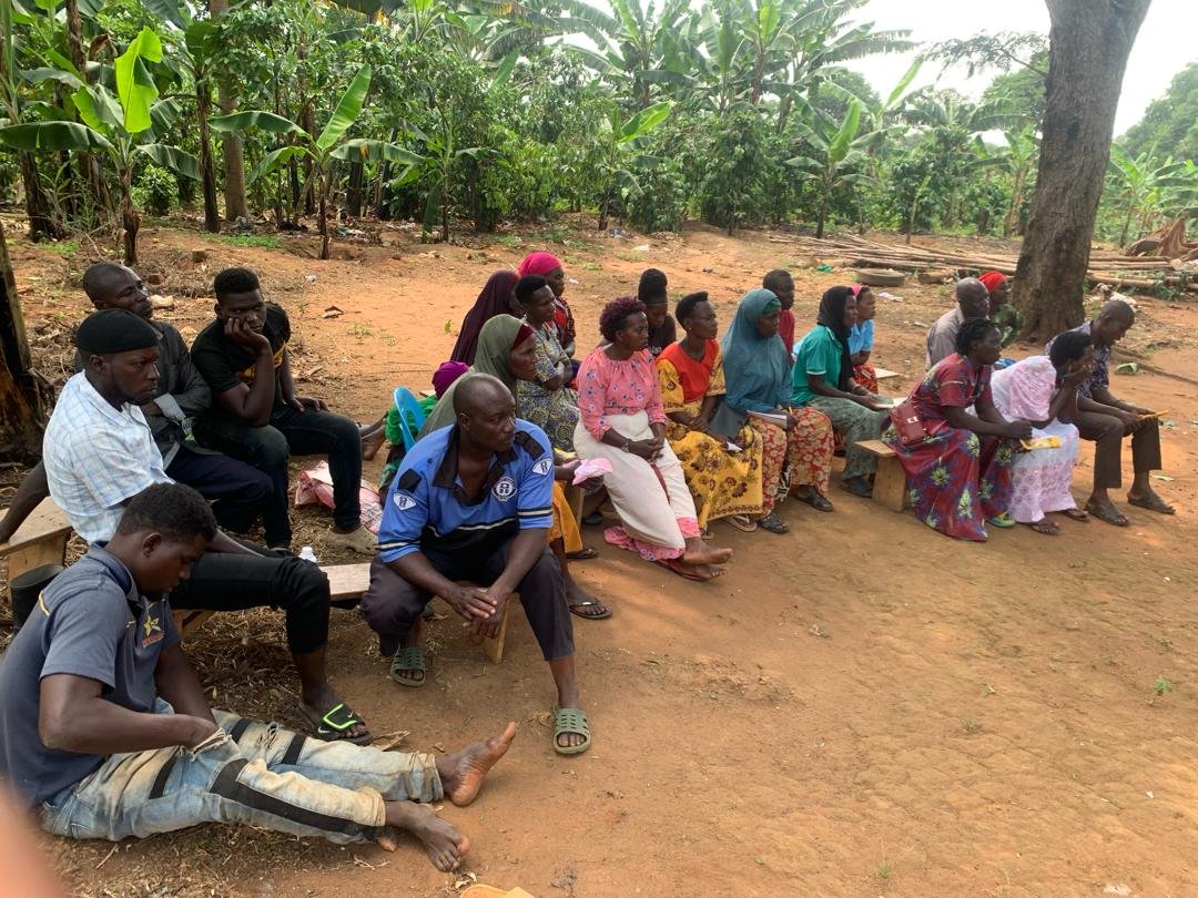 Veterinarian with poultry